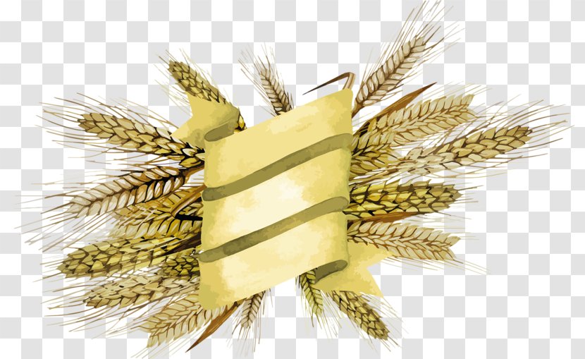 Emmer Cereal Broom-corn Millet - Food Grain - Barley Transparent PNG