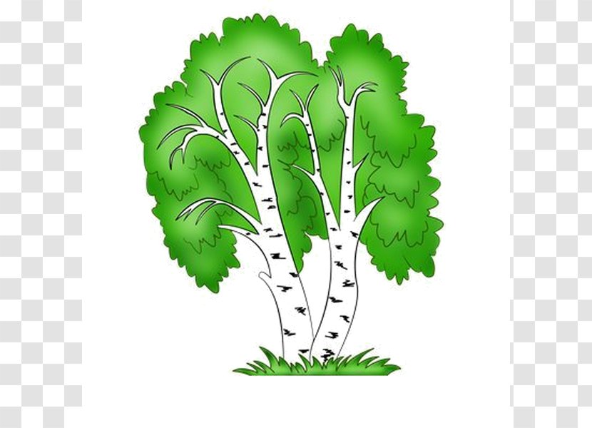 Tree Clip Art Branch Plants - Plant Stem Transparent PNG