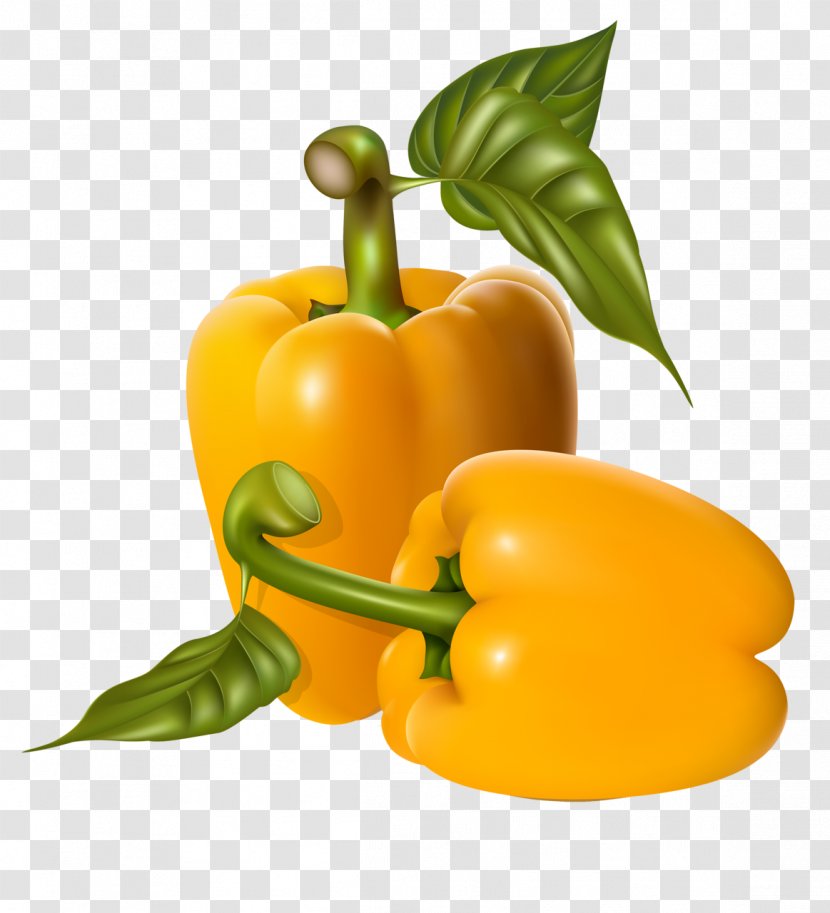 Bell Pepper Vegetable Greens Clip Art Vector Graphics - Paprika - Alimentation Watercolor Transparent PNG
