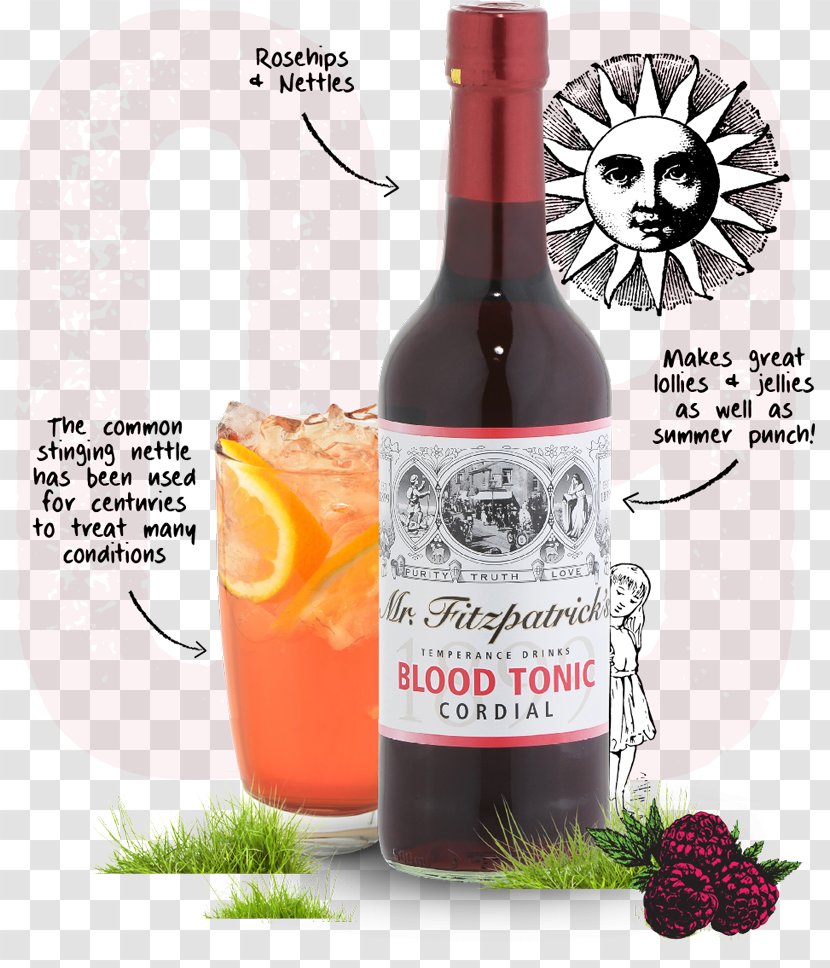 Liqueur Tonic Water Cocktail Syrup Wine - Drink Transparent PNG