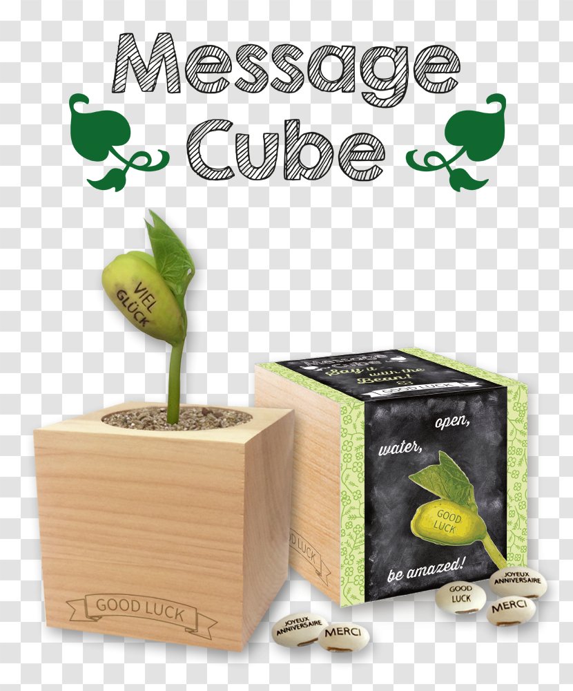 Cube Flowerpot Green Promotional Merchandise Environmentally Friendly - Sustainability Transparent PNG