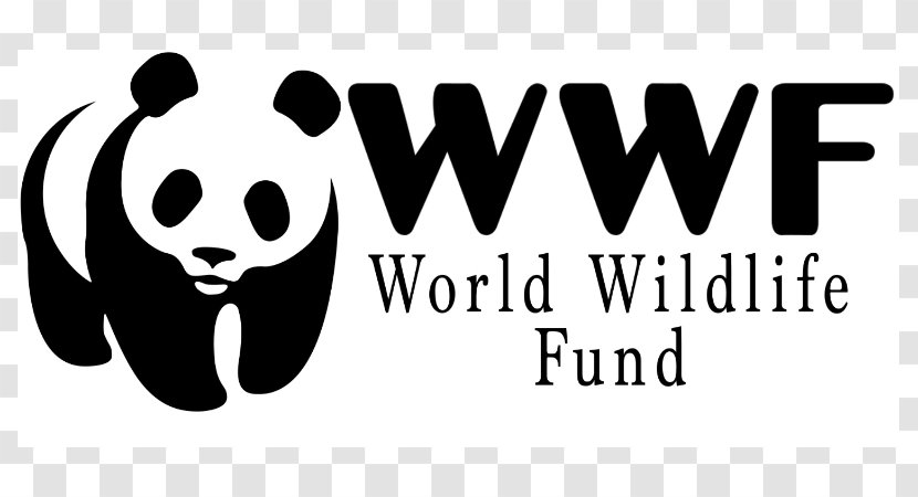 Giant Panda World Wide Fund For Nature Logo Conservation Organization - Facial Expression Transparent PNG