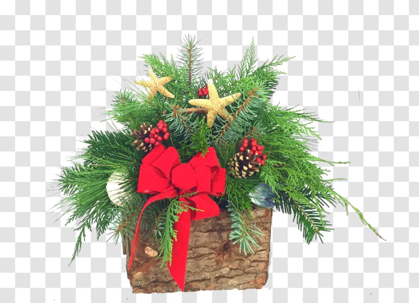 Pine Fir Christmas Decoration Evergreen Flower - Greenery Transparent PNG
