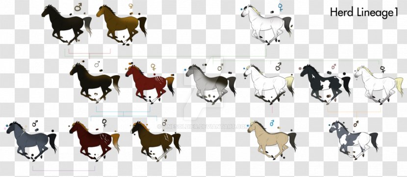 Mustang Dog Bridle Pack Animal Pattern - Mammal Transparent PNG