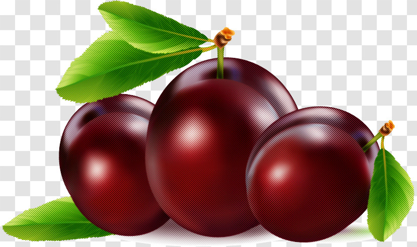 Fruit Plant European Plum Food Natural Foods Transparent PNG