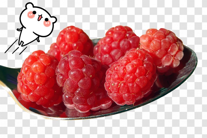 Raspberry Ketone Fruit Sweetness - Superfood - Raspberry,fruit Transparent PNG