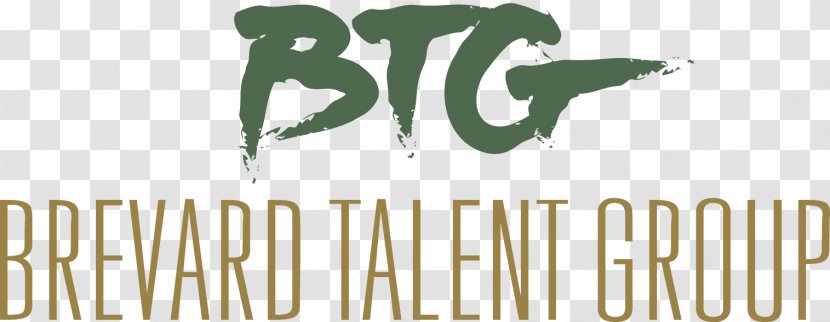 Brevard Talent Group Logo Brand BTG PLC - Warped Tour Transparent PNG