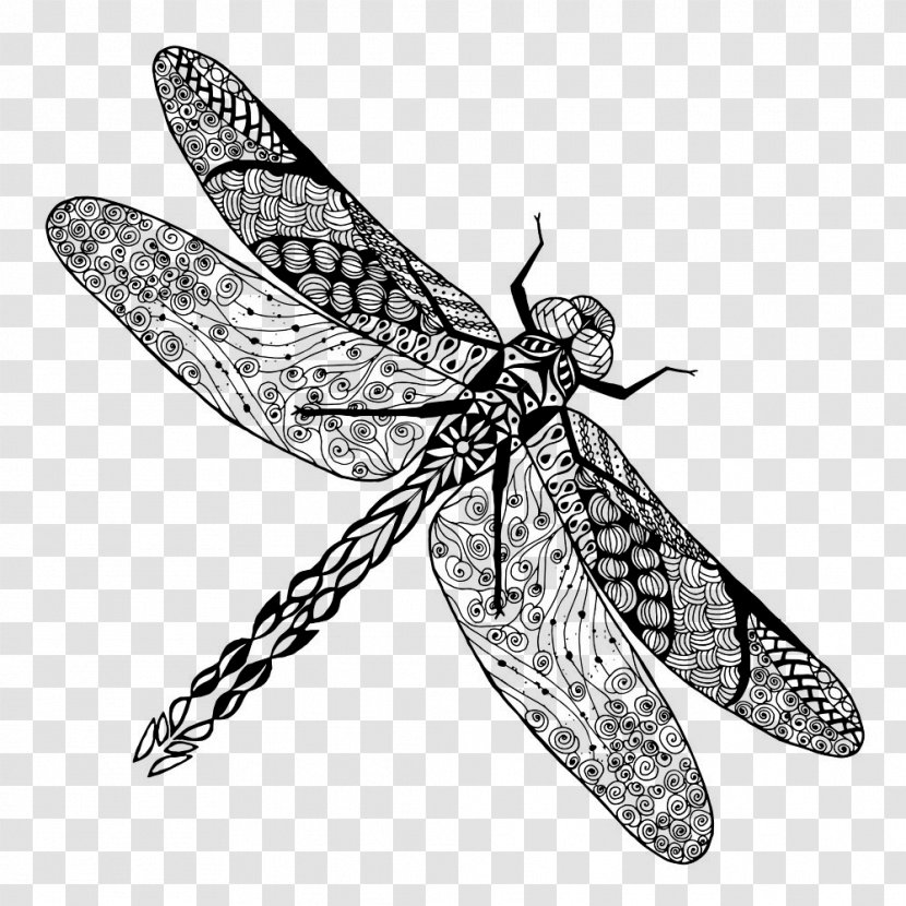 Tattoo Dragonfly Drawing Stock Photography - Pollinator - Insect Transparent PNG