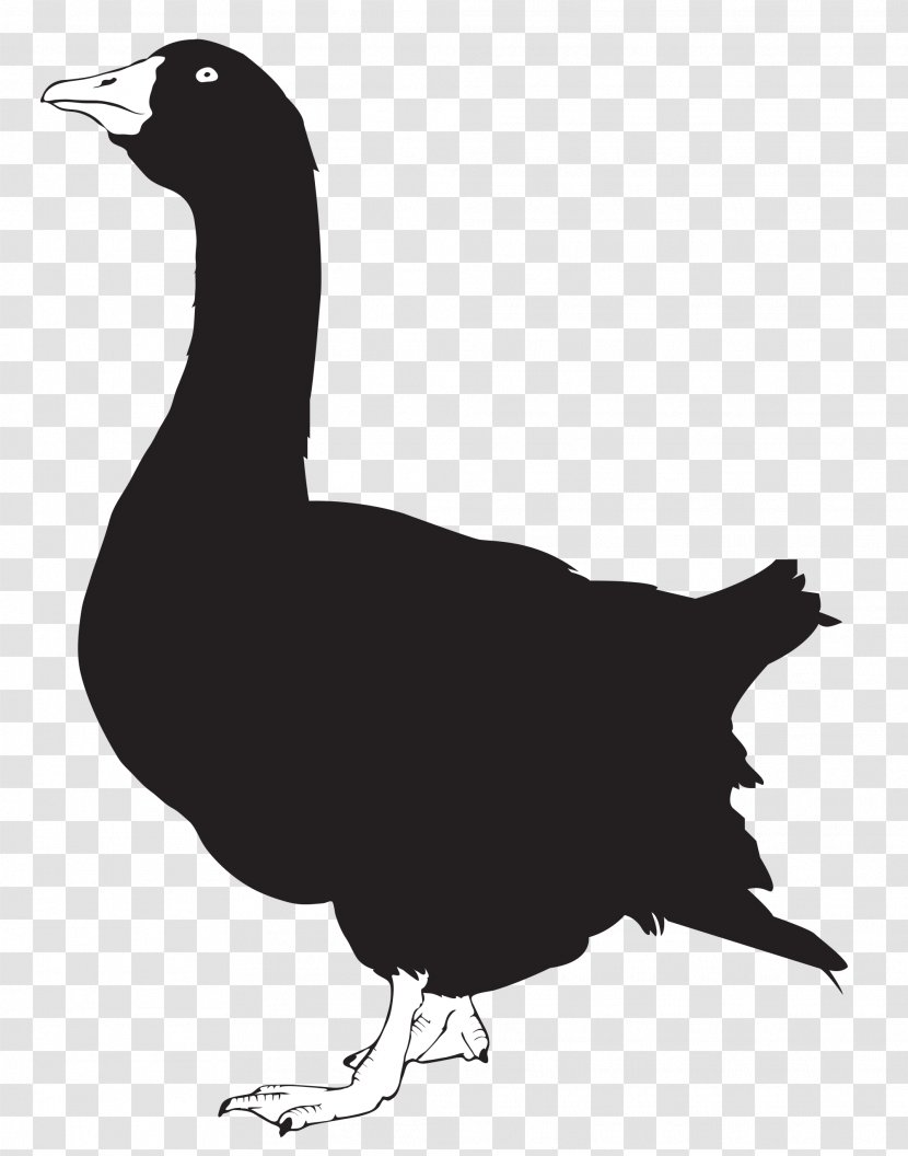 Duck Goose Silhouette Chicken Transparent PNG