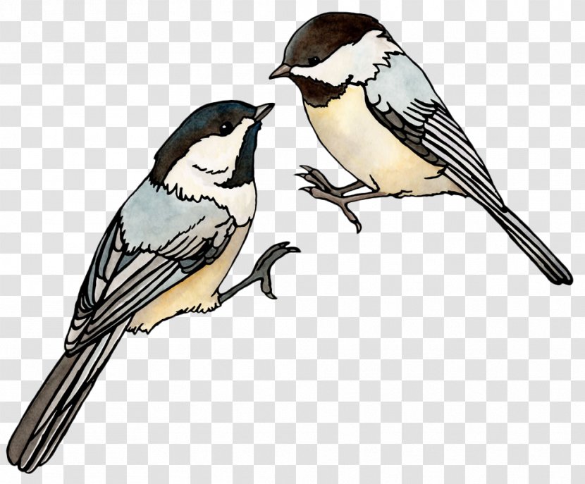 House Sparrow Bird Watercolor Painting Illustration - Cartoon - Two Whispering Sparrows Transparent PNG