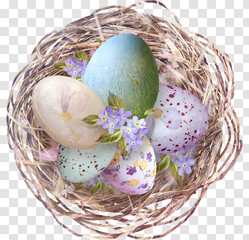 Nest Egg Image Clip Art - Tree Transparent PNG