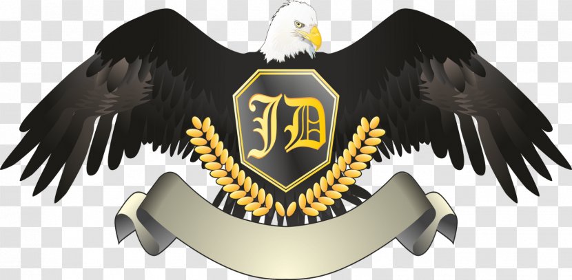 Eagle Logo Emblem Brand Beak - Bird Of Prey Transparent PNG