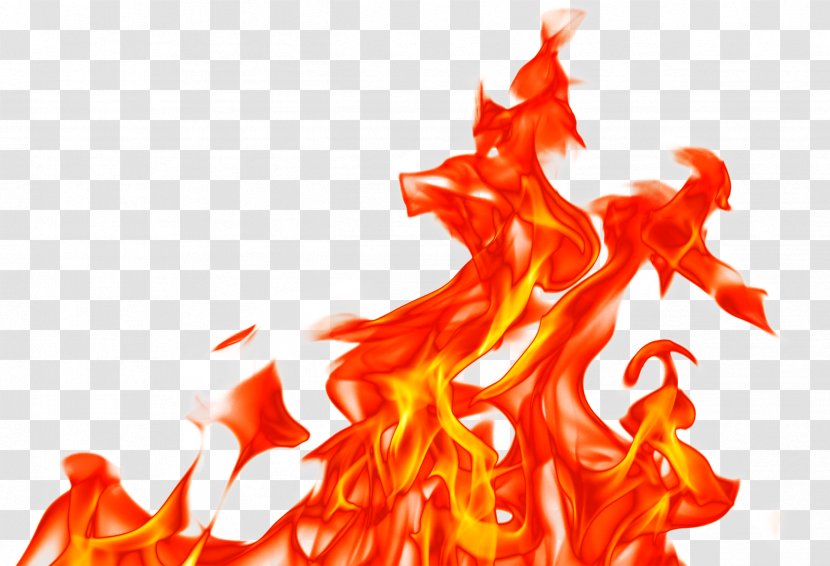 Fire Flame - Orange - Heat Transparent PNG