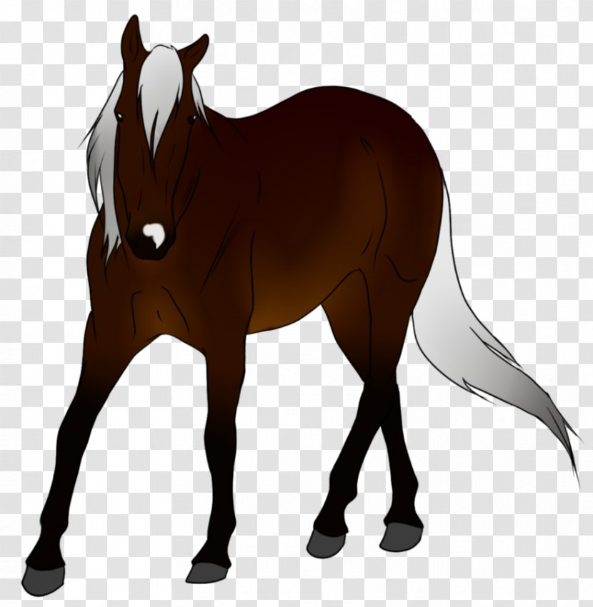 Mule Foal Stallion Mare Colt - Pony - Mustang Transparent PNG