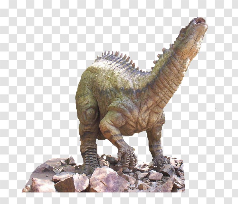 Tyrannosaurus Dinosaur Velociraptor Animal Clip Art - Dinosaurs Transparent PNG
