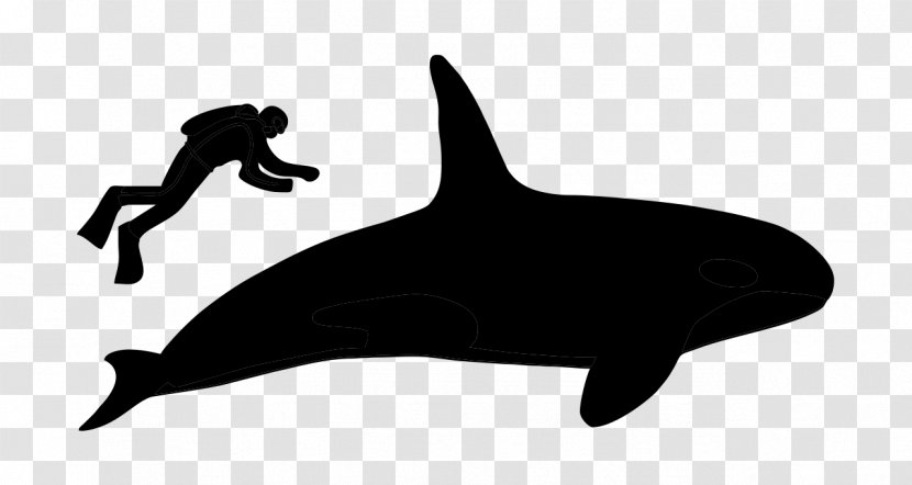 Dolphin Porpoise Black & White - Common Dolphins - M Clip Art Fauna Transparent PNG