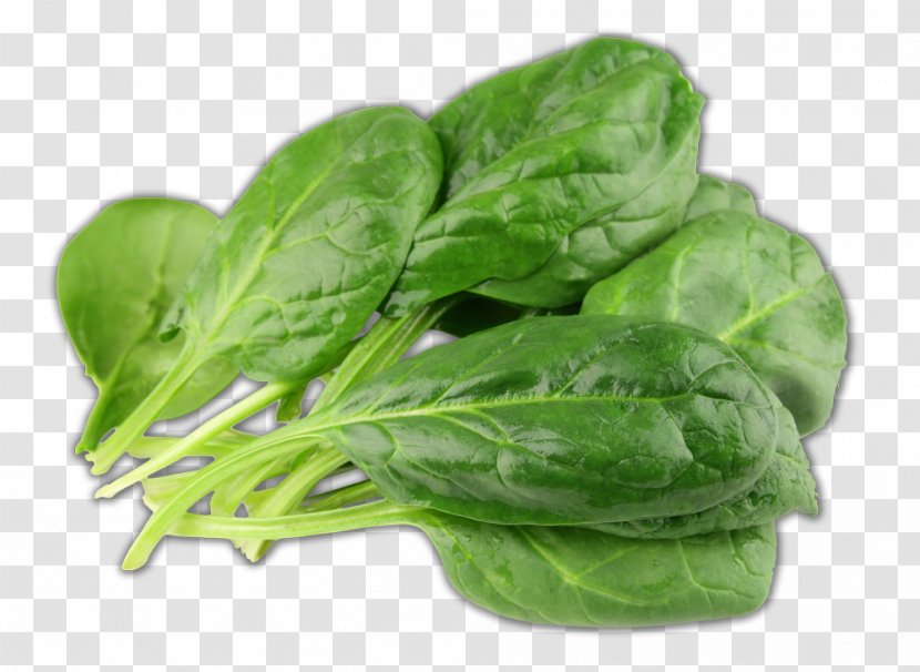 Vegetable Juice Leaf Eating - Celery - Spinach Transparent PNG