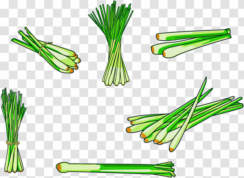 Chives Welsh Onion Vegetable Plant Leek Transparent PNG