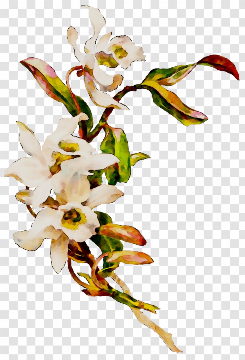 Clip Art Flower Image Desktop Wallpaper - Twig - Cut Flowers Transparent PNG