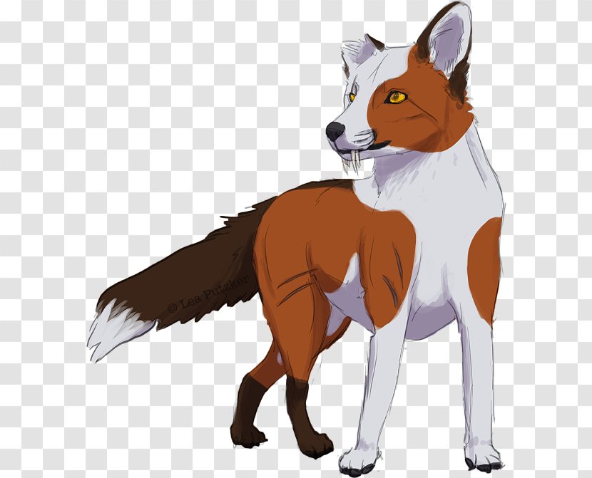 Red Fox Dog Breed Fur Snout - Carnivoran Transparent PNG
