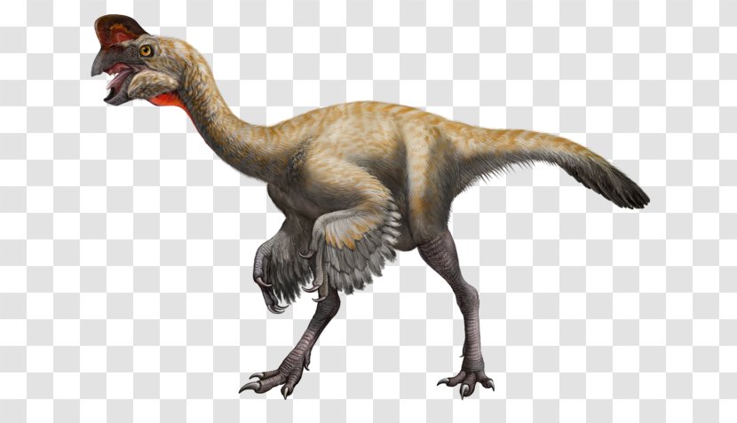 Velociraptor Struthiomimus Oviraptor Styracosaurus Muttaburrasaurus - Letter - Dinosaurs Transparent PNG