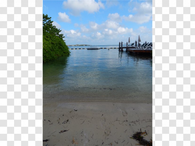 Shore Water Resources Wetland Coast Beach - Loch - Key West Transparent PNG