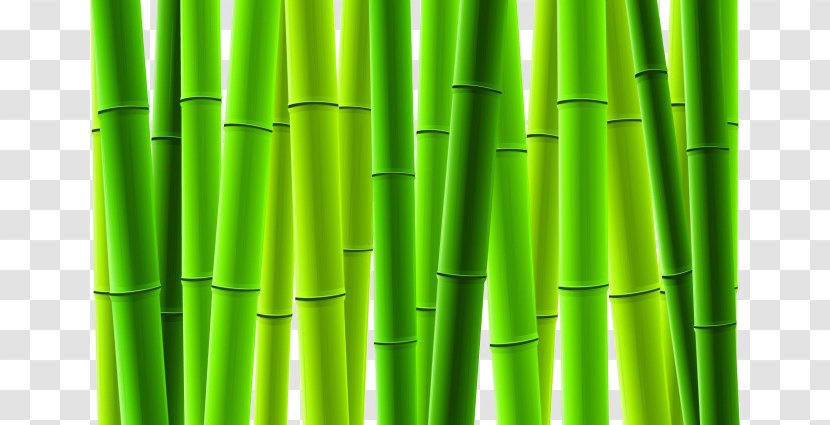Bamboo Euclidean Vector Tree - Bamboe - Hsinchu Transparent PNG