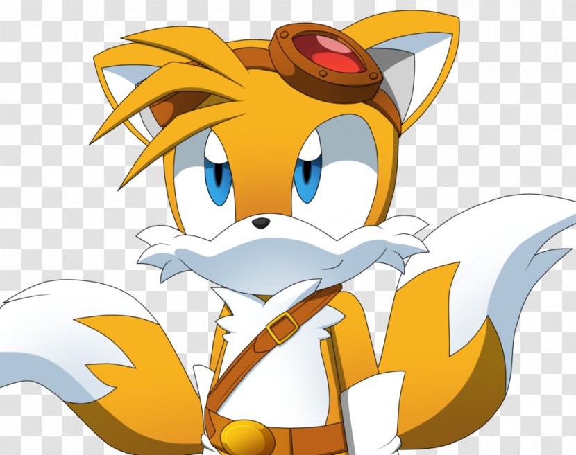 Tails Amy Rose Sonic Chaos Metal The Hedgehog - Cartoon - Fox Transparent PNG