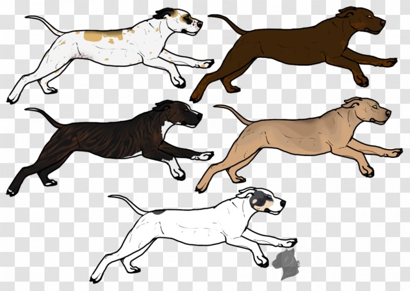 Dog Breed Lion Non-sporting Group Cat - Mammal Transparent PNG
