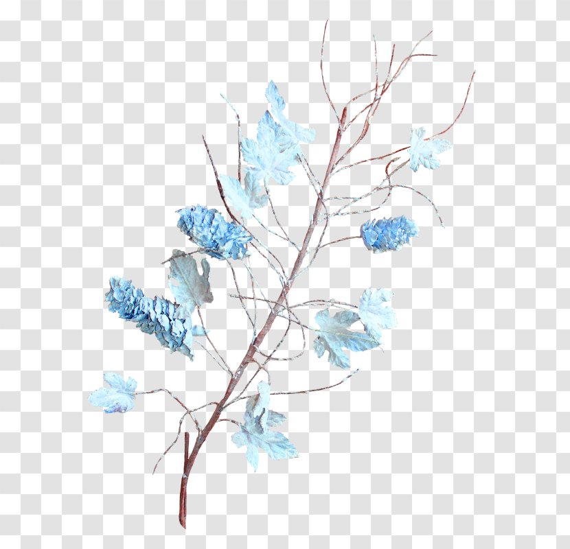 Twig Floral Design Desktop Wallpaper Plant Stem Flower - Petal Transparent PNG