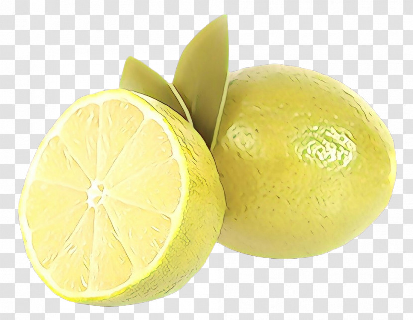 Lemon Persian Lime Citrus Fruit Sweet Lemon Transparent PNG