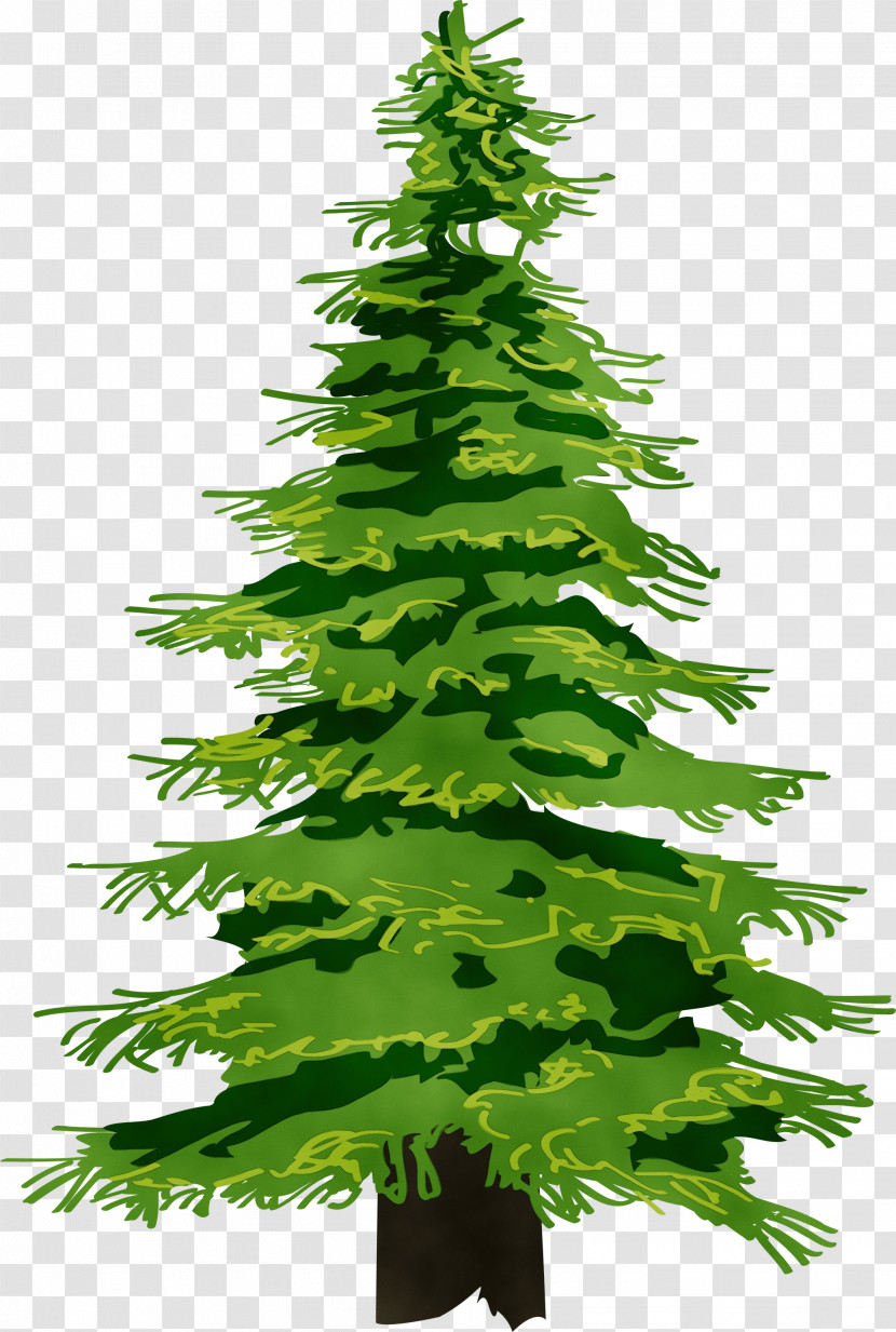 Christmas Tree Transparent PNG