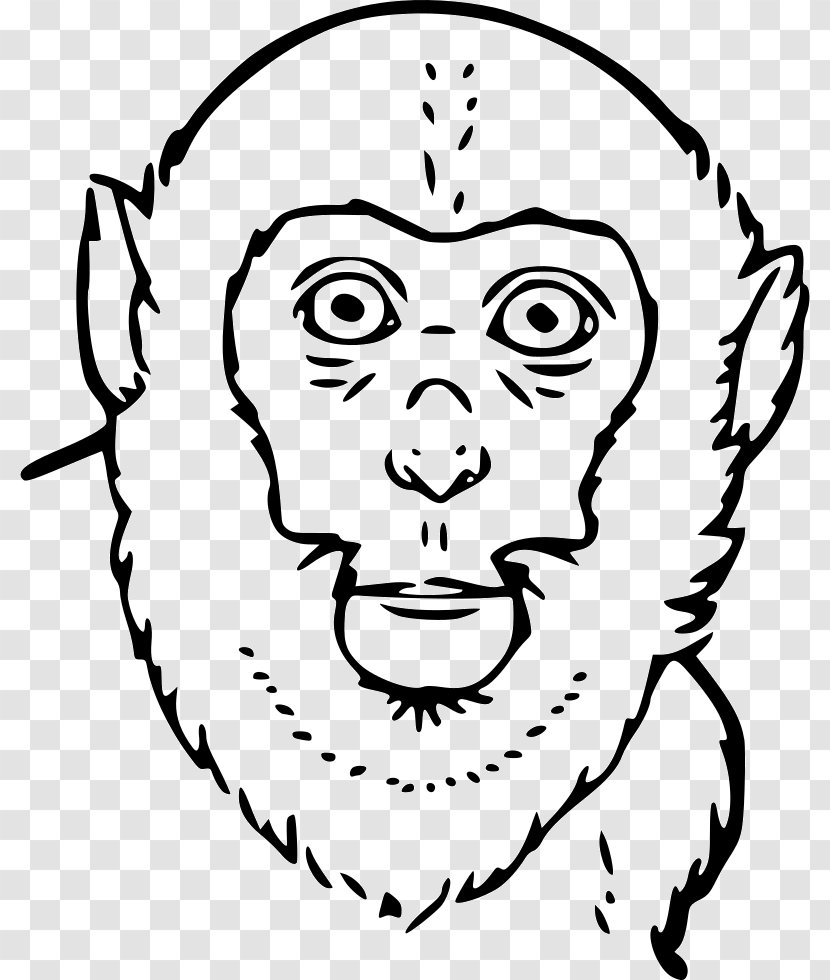 Homo Sapiens Eye Smile Forehead Human Behavior - Tree Transparent PNG