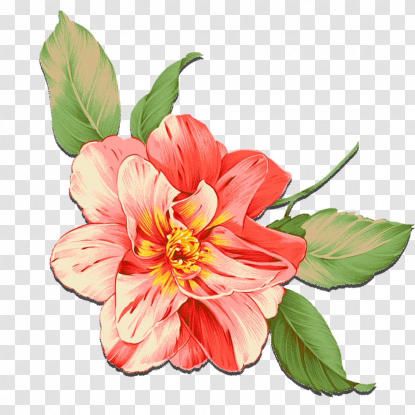 Petal Pink Flowers - Floristry - Crocus Transparent PNG