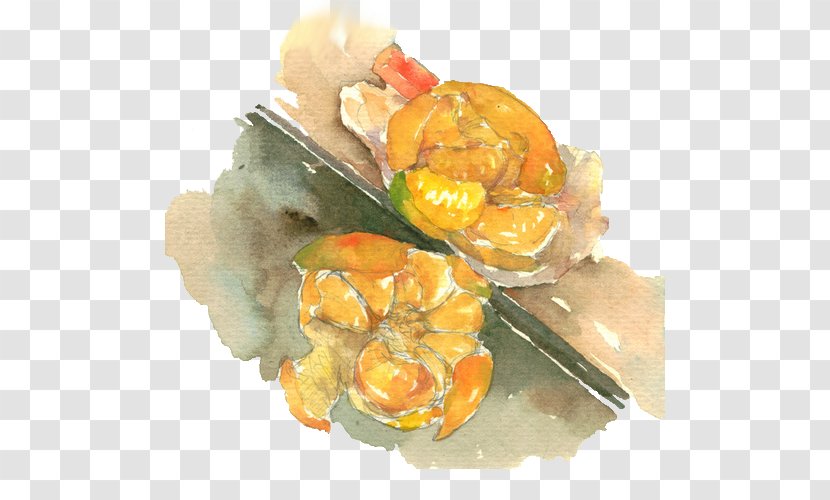 Orange Juice Mandarin - Fruit - Peeling Off Two Watercolour Paintings Transparent PNG