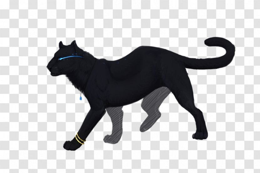 Cat Vector Graphics Illustration Image Illustrator - Like Mammal - Sao Beast Tamer Transparent PNG