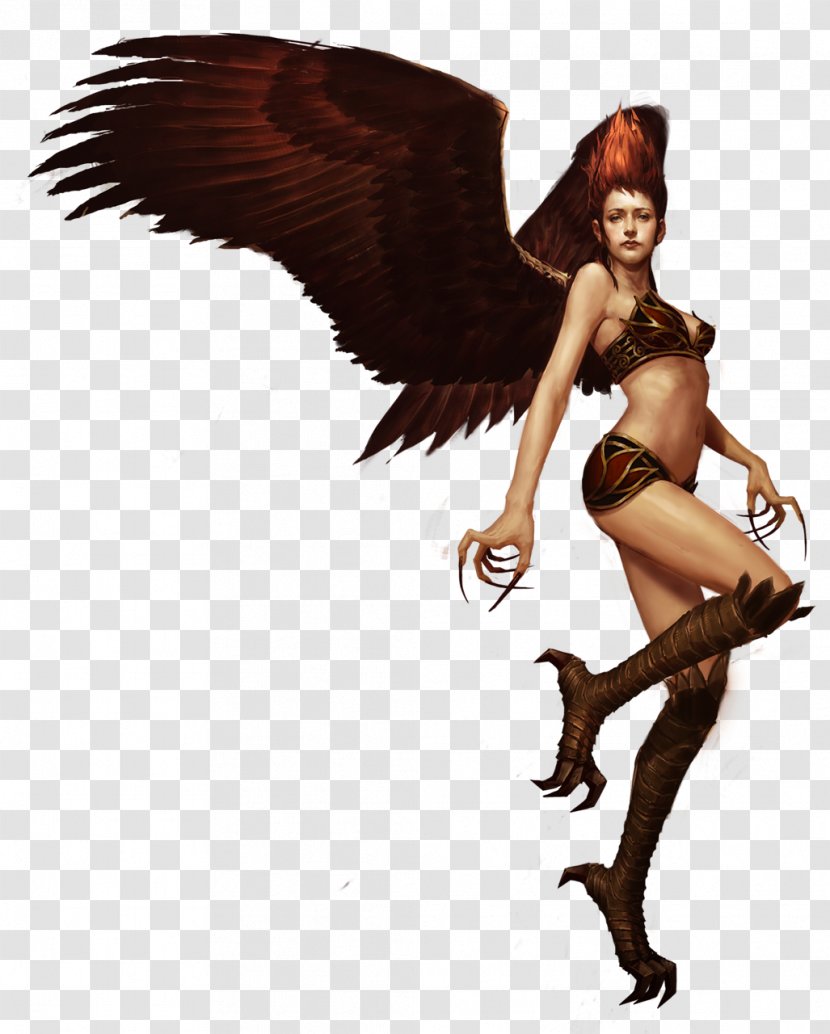 Heroes Of Might And Magic Online Magic: Ubisoft Game NetDragon Websoft - Harpy - Harpia Transparent PNG
