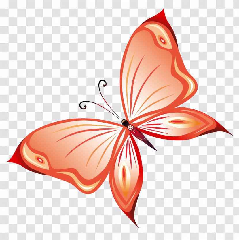 Butterfly Queen Alexandra's Birdwing Clip Art - Orange - Transparent Red PNG Clipart Transparent PNG