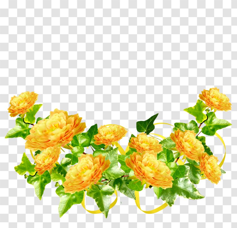 Garden Roses Flower Picture Frames Yellow - Rgb Color Model Transparent PNG