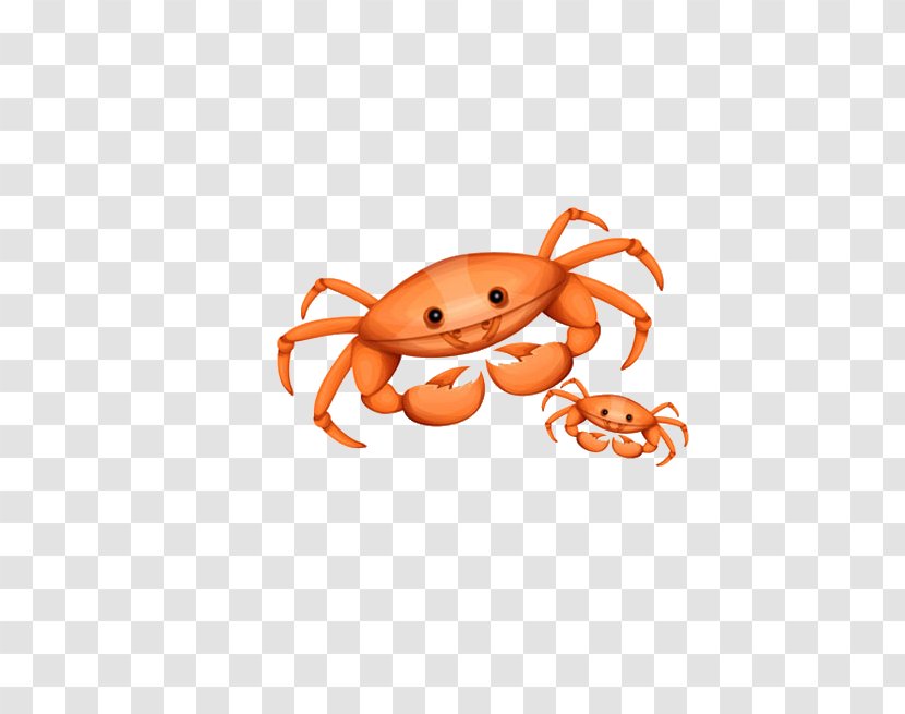 Crab Coloring Book Clip Art - Cartoon Transparent PNG