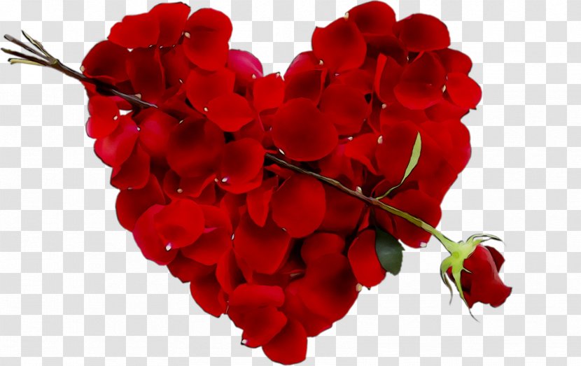 Stock Photography Image Heart Stock.xchng - Royaltyfree - Bougainvillea Transparent PNG