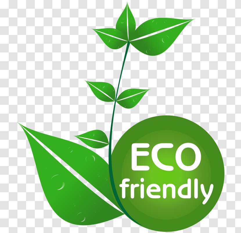 Environmentally Friendly Clip Art - Brand - Area Transparent PNG