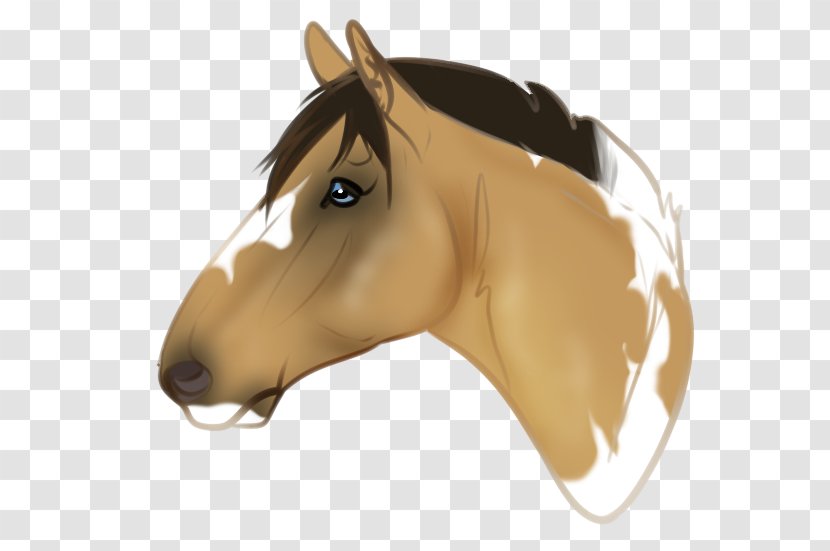 Mane Mustang Pony Halter Stallion - Horse Tack Transparent PNG