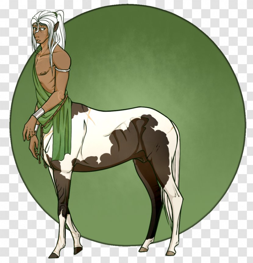 Stallion Pony Mustang Mare Bridle - Halter - Centaur Transparent PNG