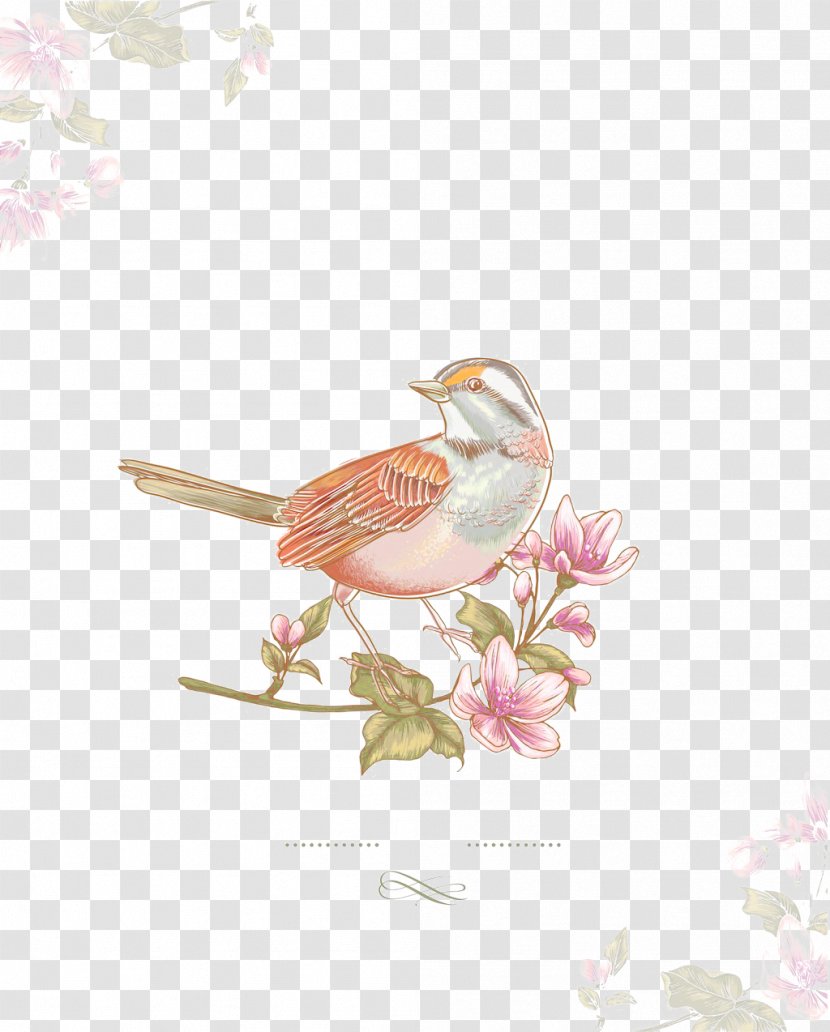 Bird Blossom - Pink Transparent PNG