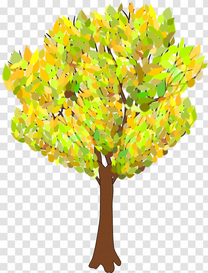 Tree Autumn Branch Clip Art - Drawing - Beautiful Trees Transparent PNG