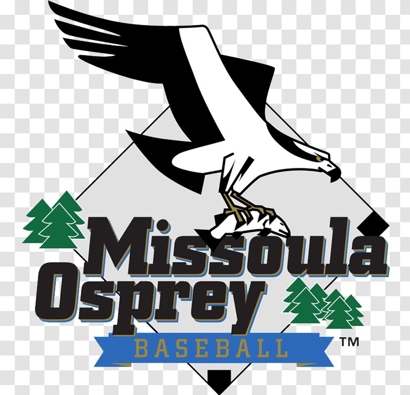 Missoula Osprey Logo Great Falls Voyagers Baseball Pioneer League - Stadium Audience Transparent PNG