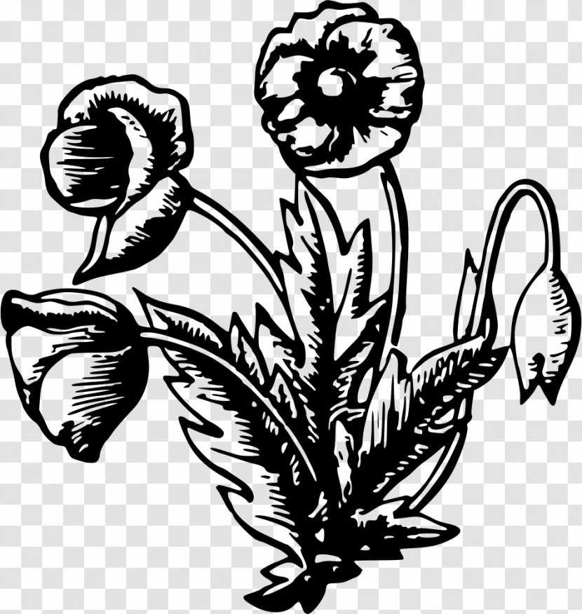 Black And White User Interface Clip Art - Computer Network - Flower Label Transparent PNG