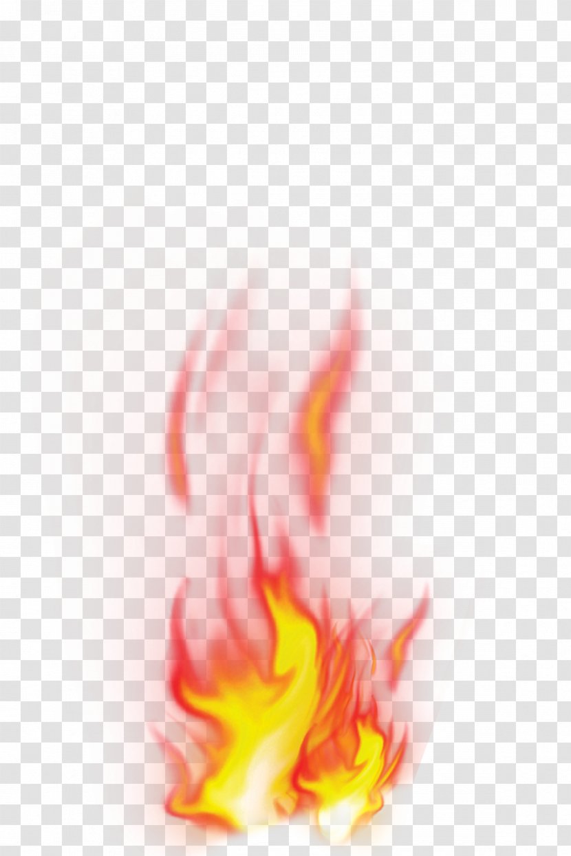 Kindle Fire HD Flame Light - Tree - Fire,Flames,spark Transparent PNG