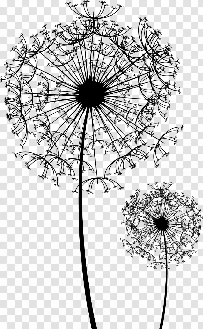 Dandelion Illustration - Black And White - Decorative Pattern Transparent PNG